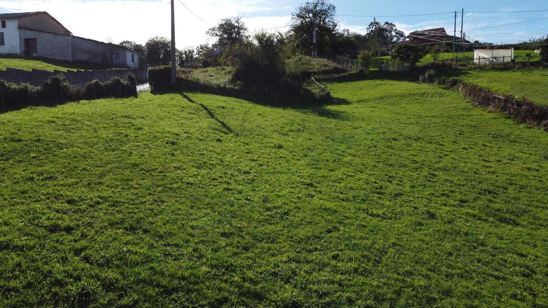 Plot in Siero