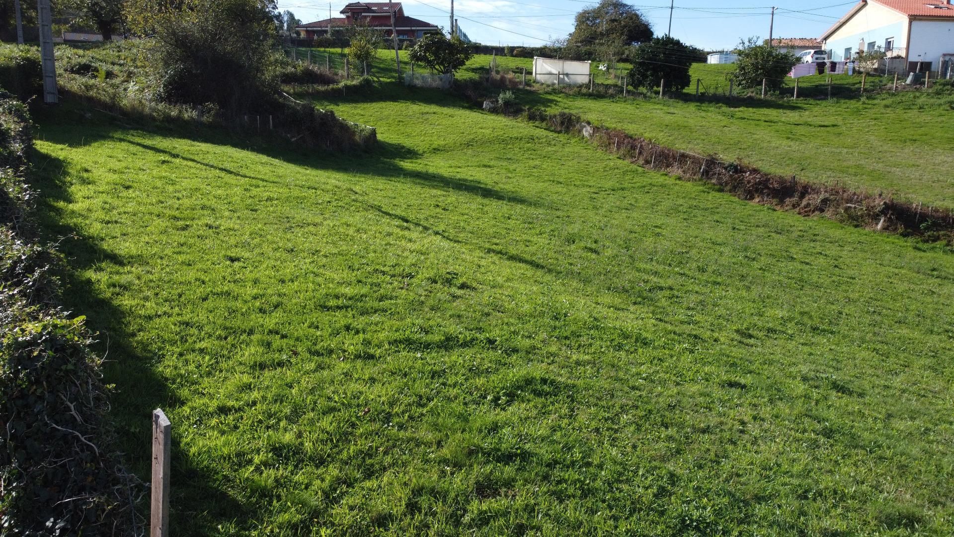Plot in Siero