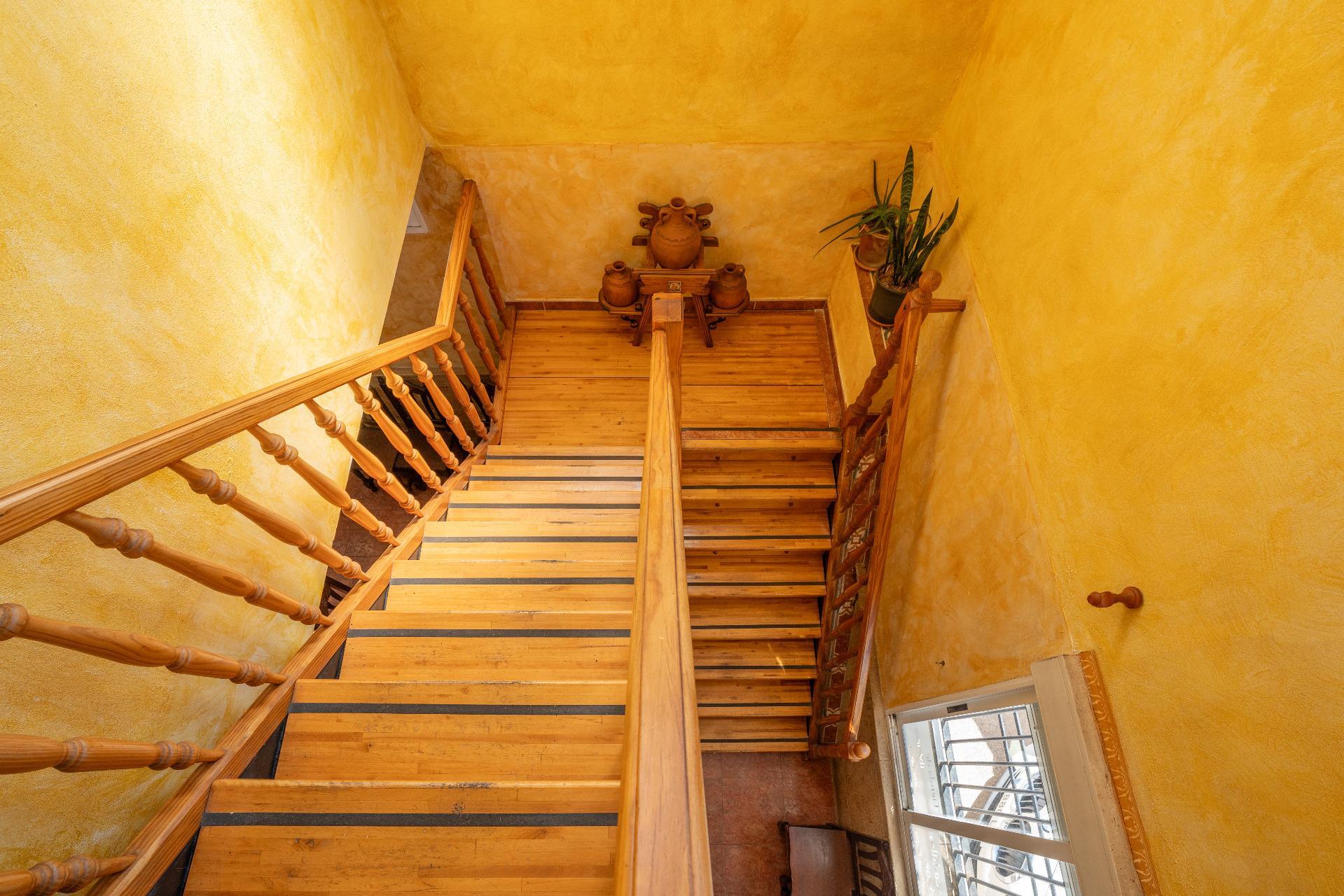 Negocios-Venta-Palma de GandÃ­a-2177172-Foto-27