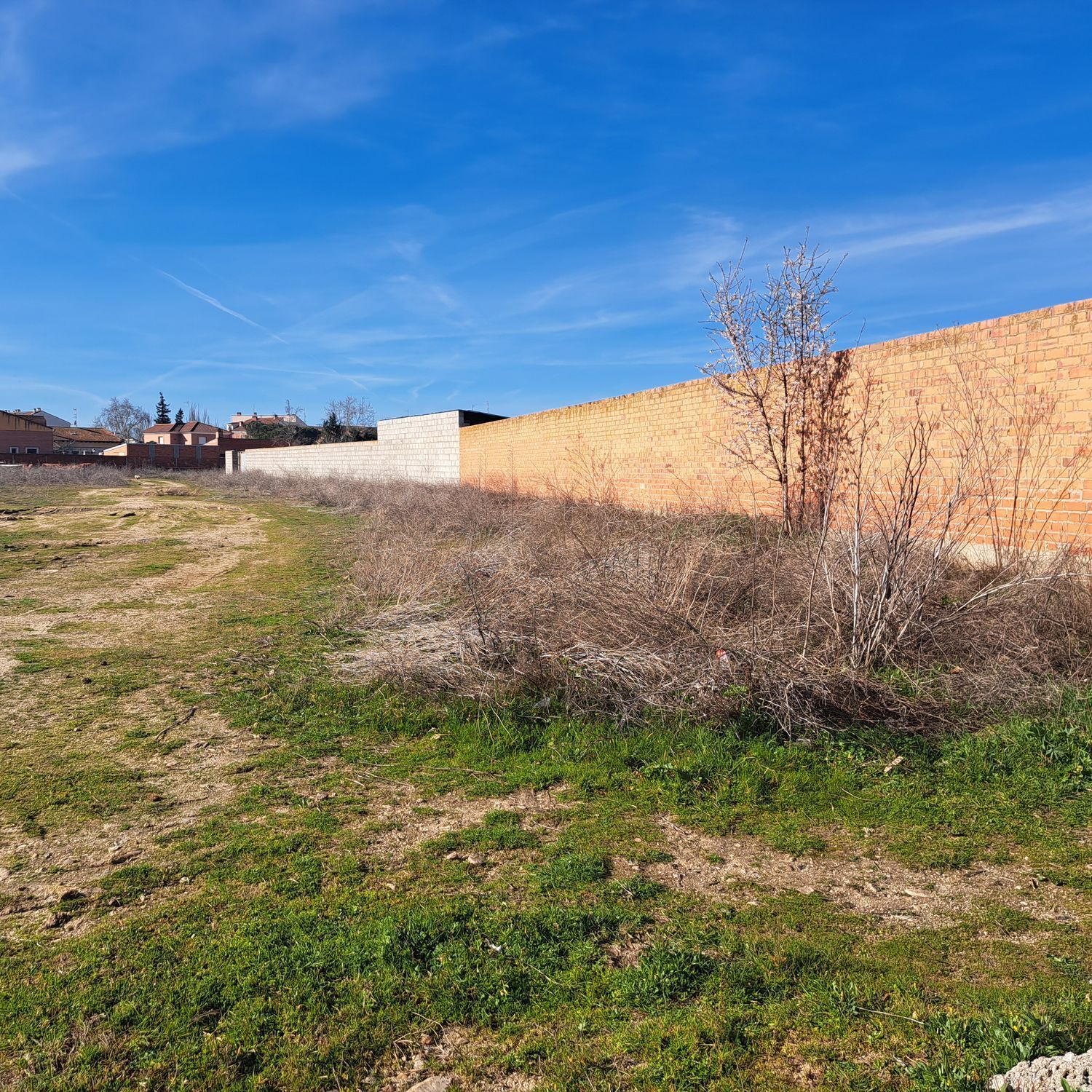 Plot in Olmedo
