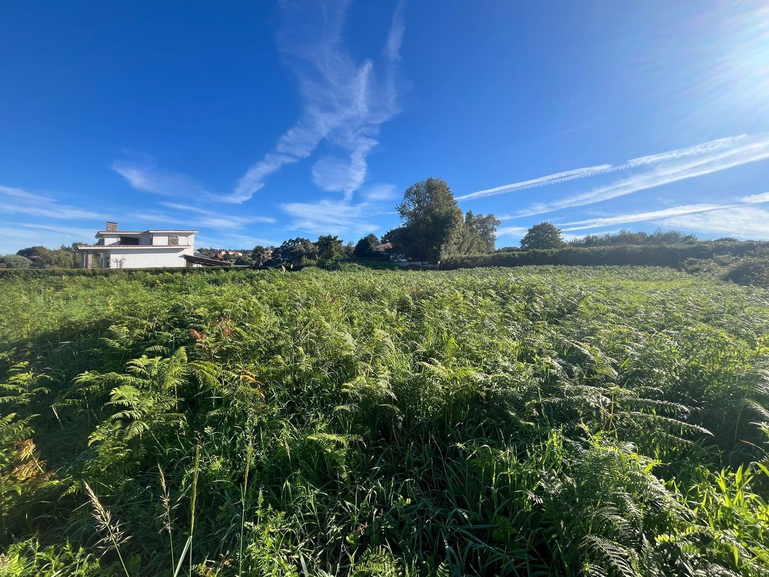 Fincas y solares-Venta-Fene-1830035-Foto-2