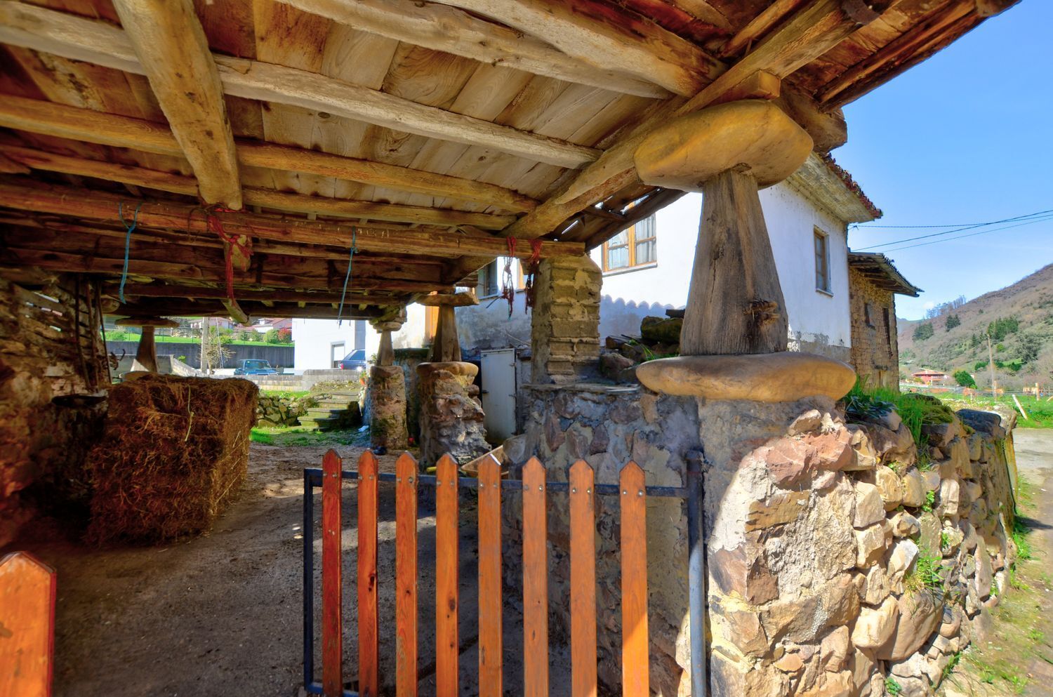 Casas o chalets-Venta-Tineo-2177145-Foto-28
