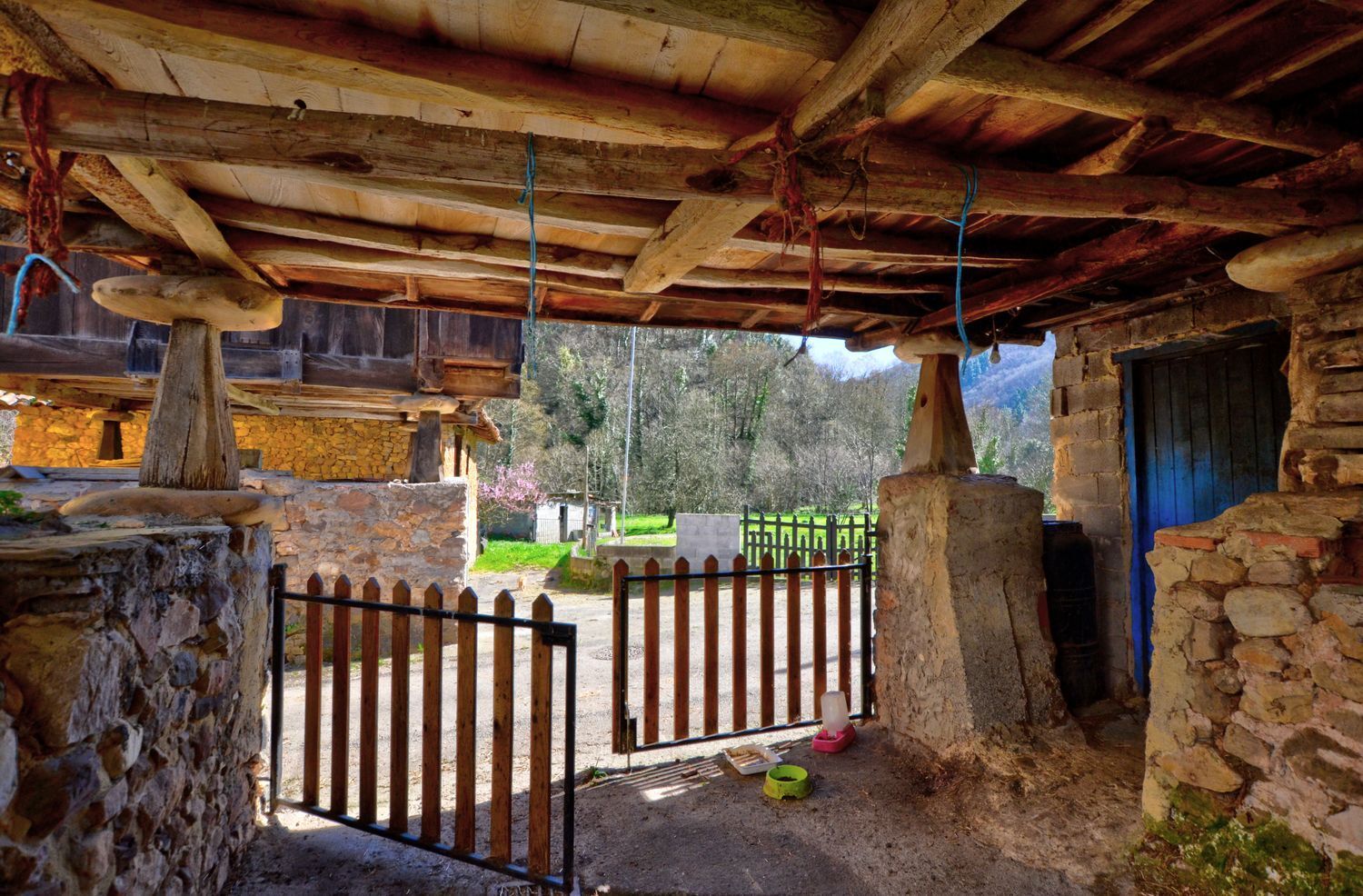 Casas o chalets-Venta-Tineo-2177145-Foto-42