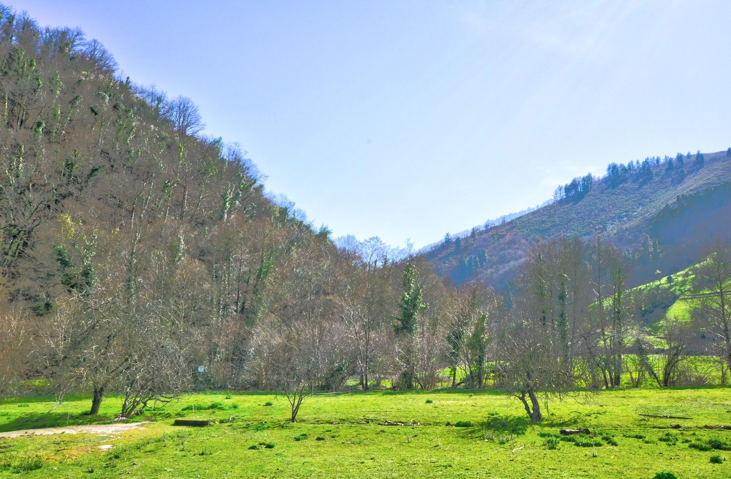Casas o chalets-Venta-Tineo-2177145-Foto-43