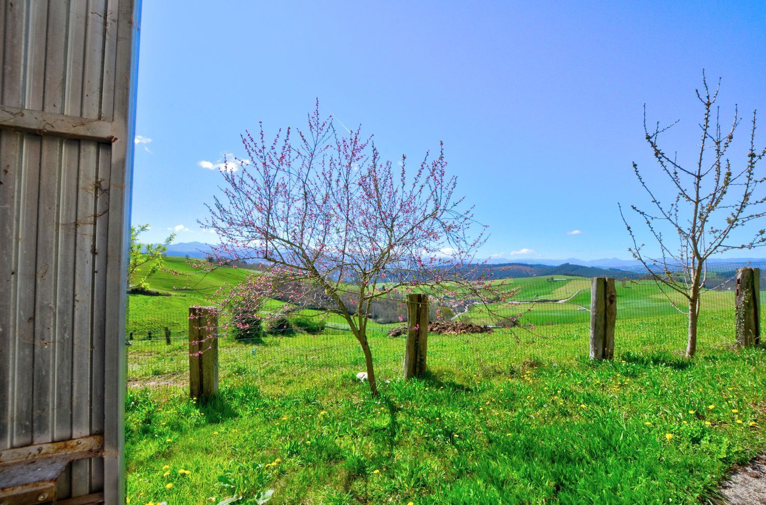 Villa in Tineo