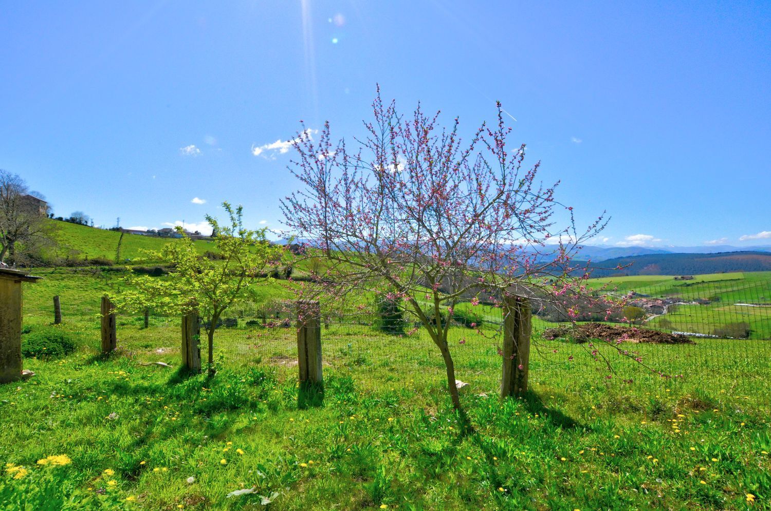 Villa in Tineo