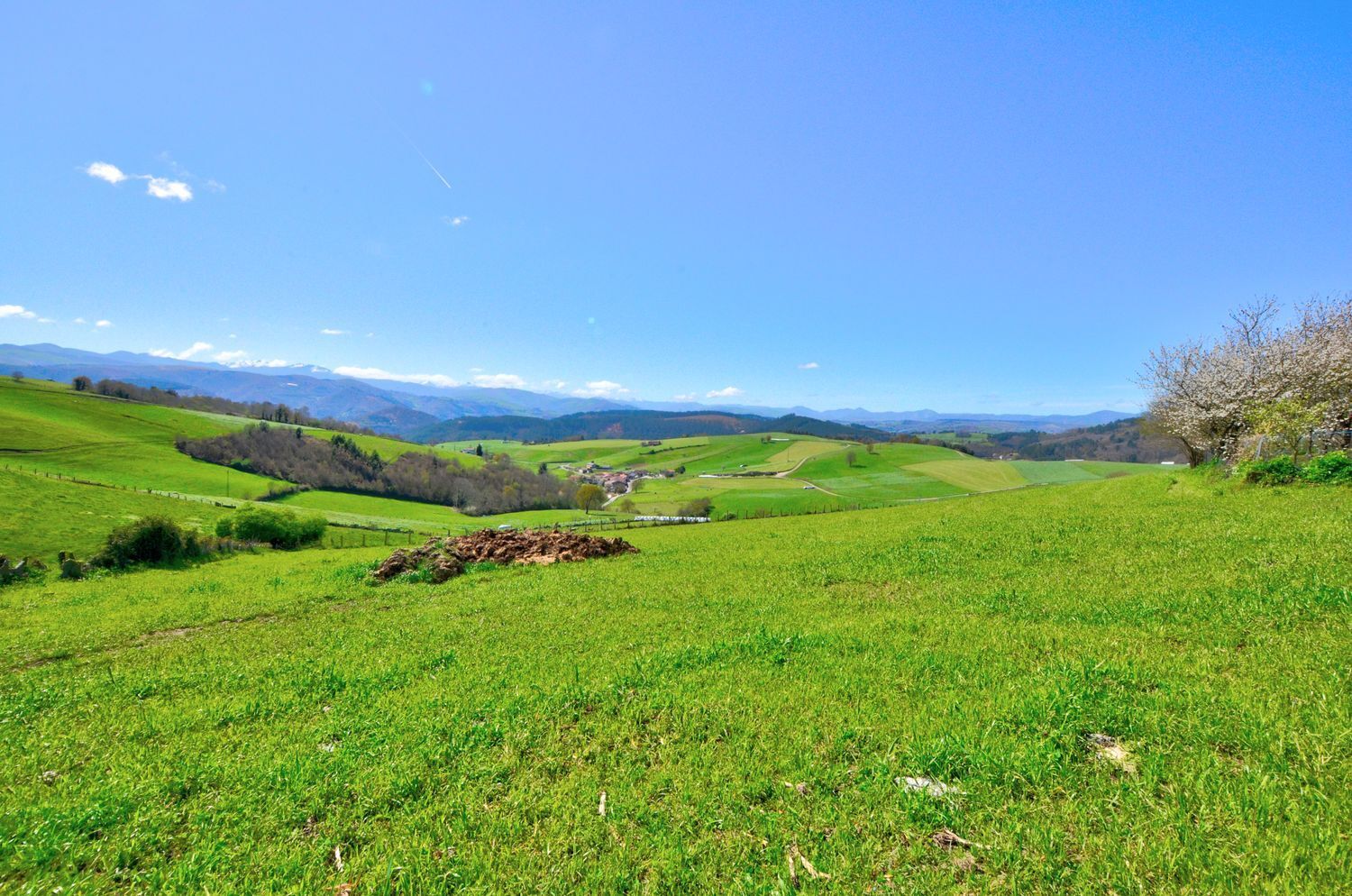 Villa in Tineo