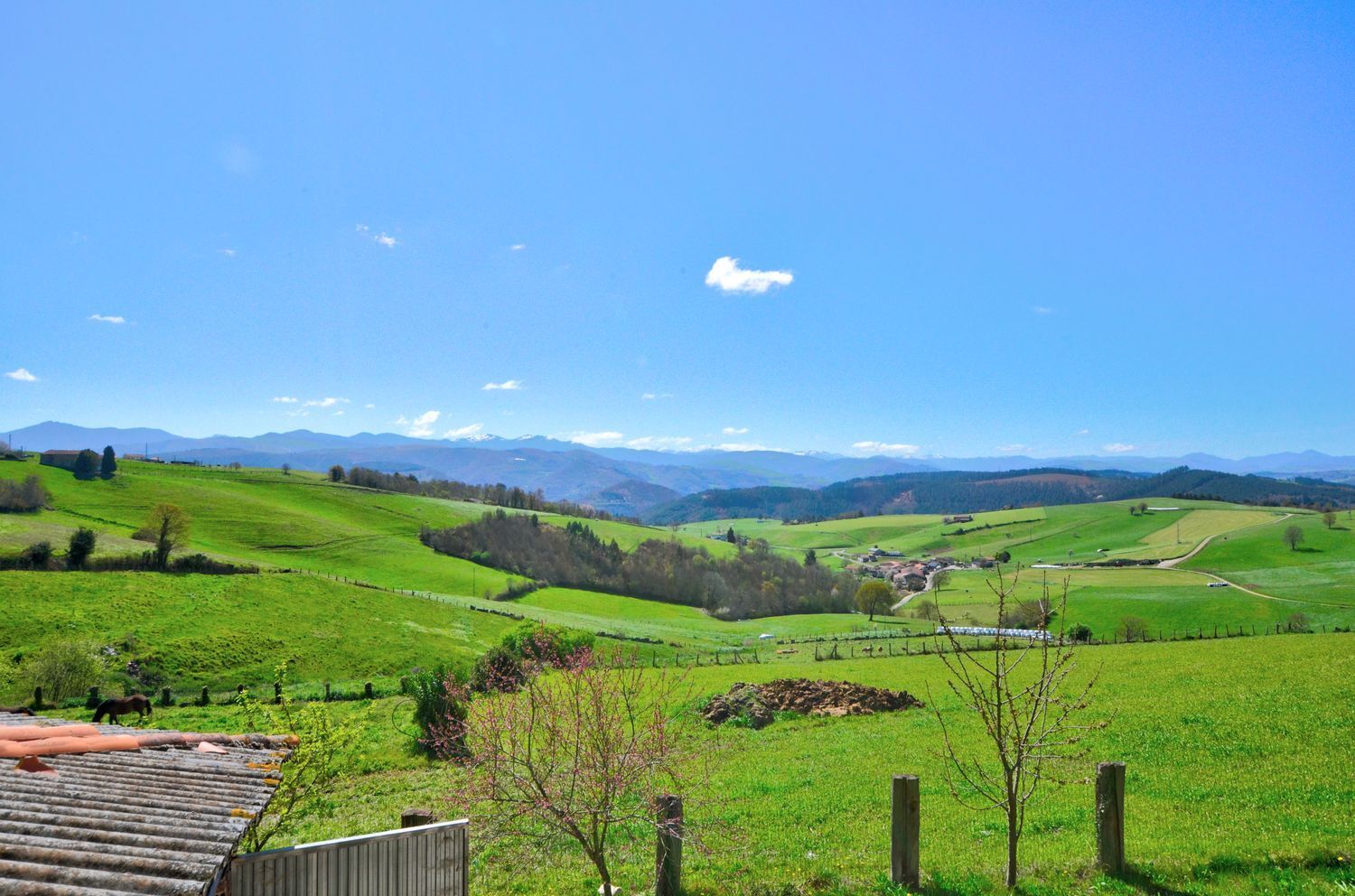 Villa in Tineo