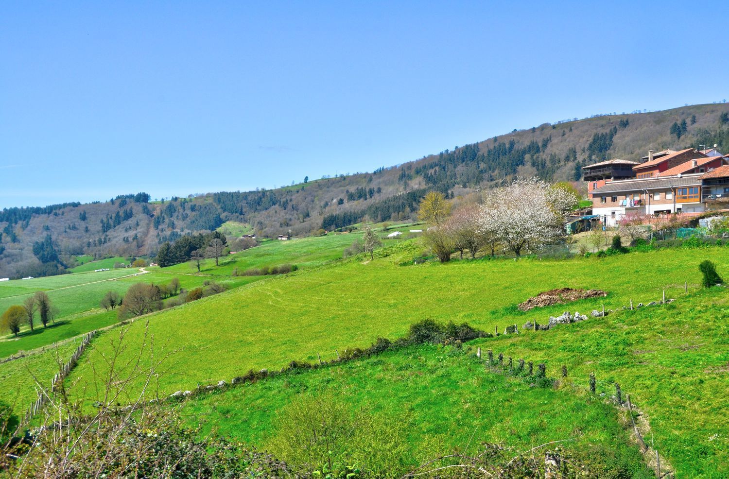 Villa in Tineo