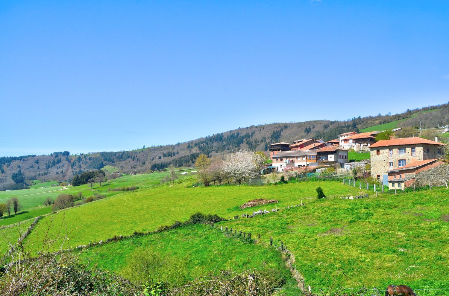Villa in Tineo