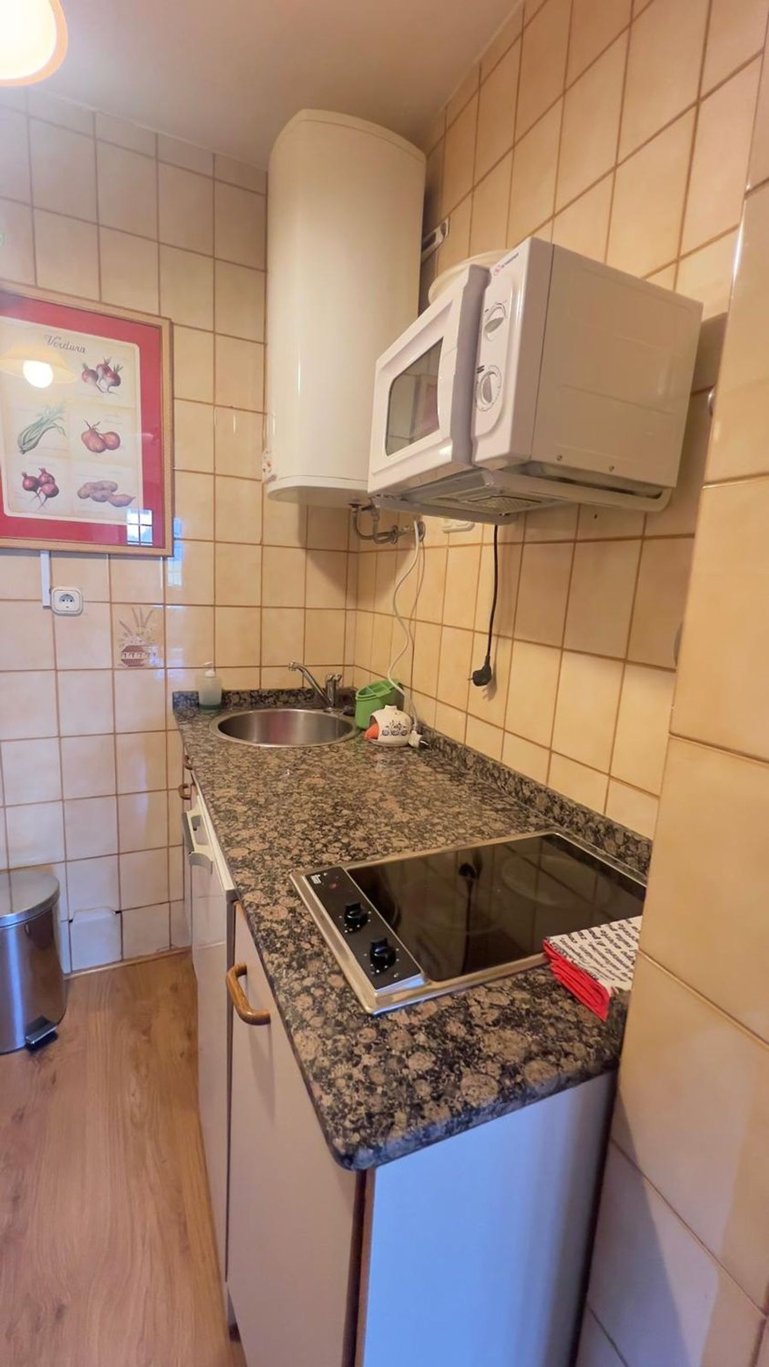 Apartment in Lena
