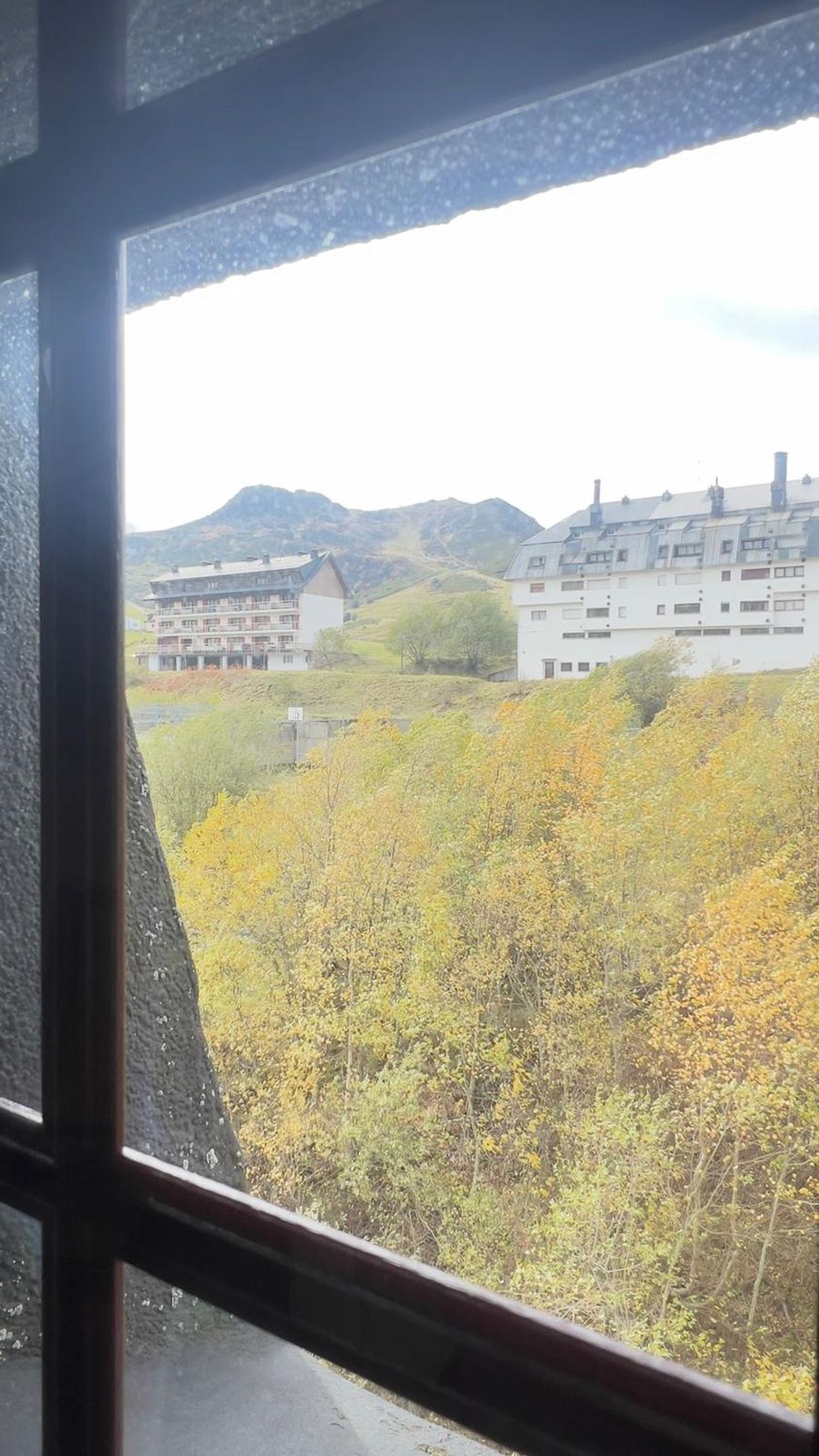 Apartment in Lena