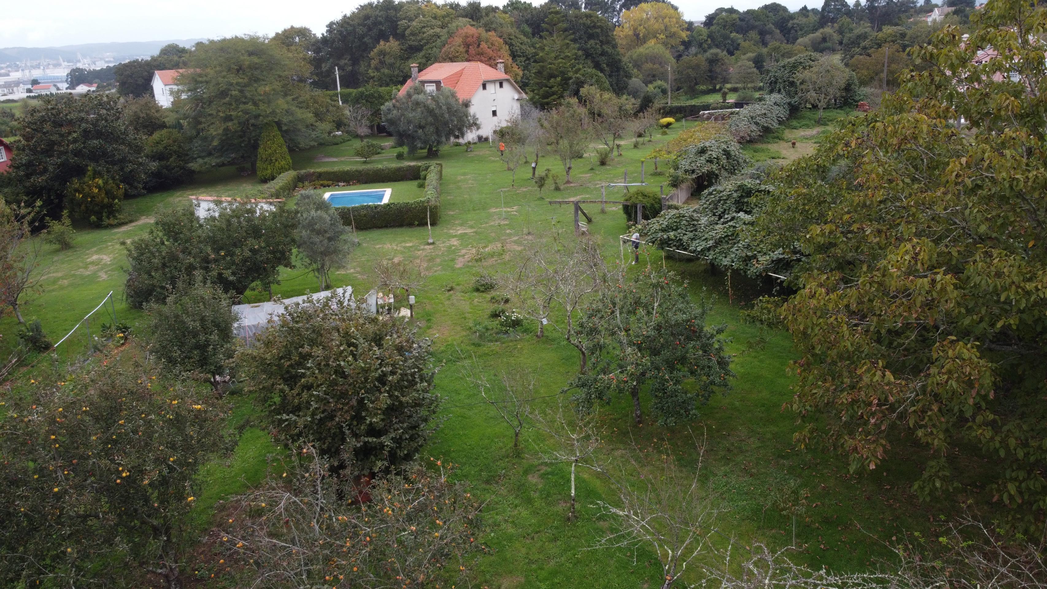 Casas o chalets-Venta-Fene-1901076-Foto-36