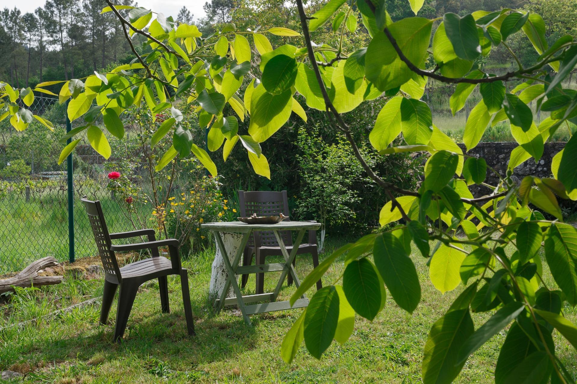 Casas o chalets-Venta-Lobios-2256077-Foto-17