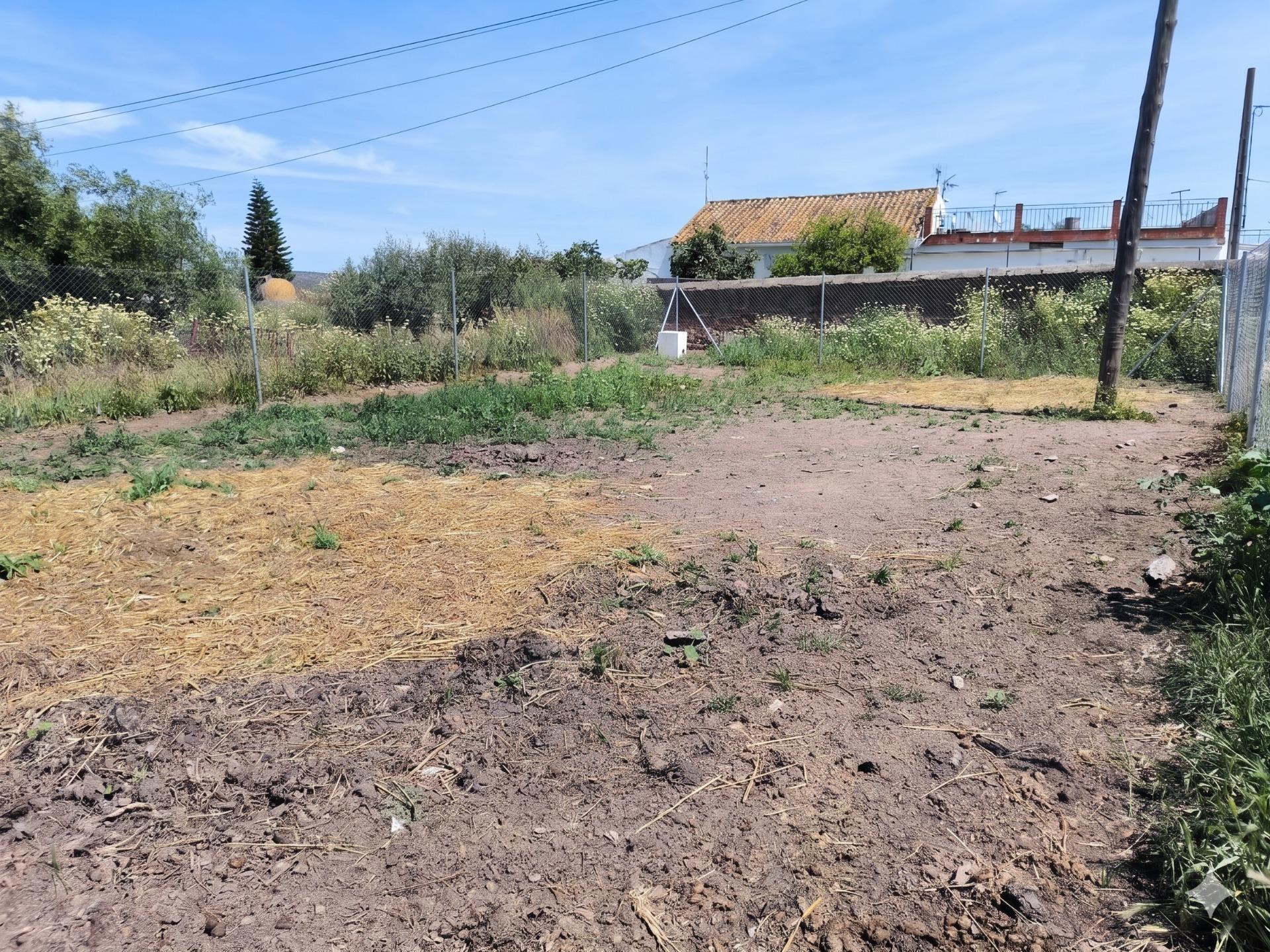 Fincas y solares-Venta-Villanueva del RÃ­o y Minas-2256069-Foto-3