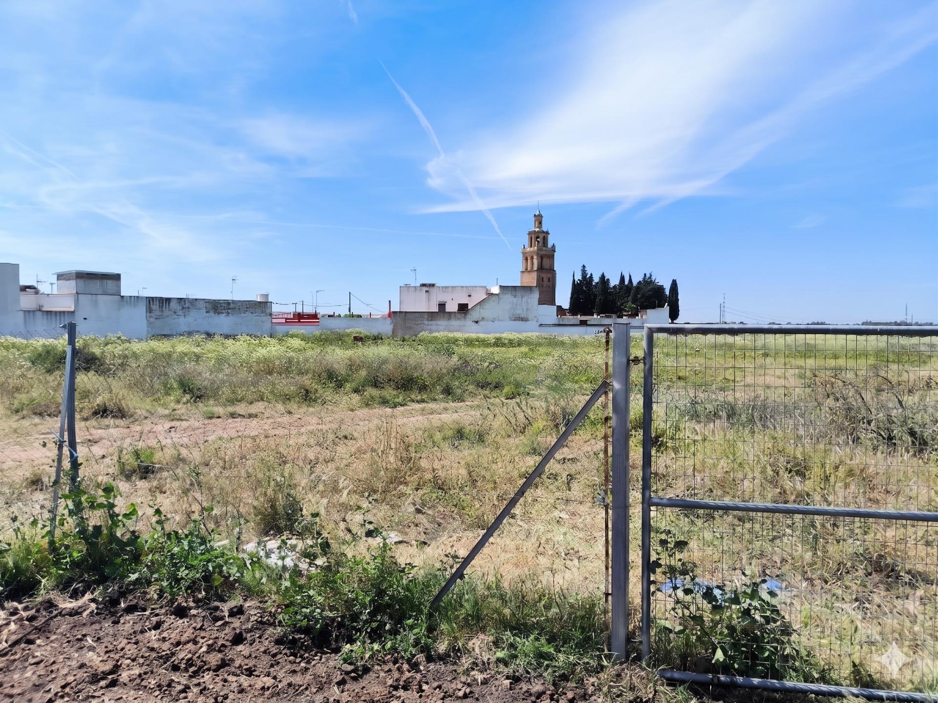 Fincas y solares-Venta-Villanueva del RÃ­o y Minas-2256069-Foto-4
