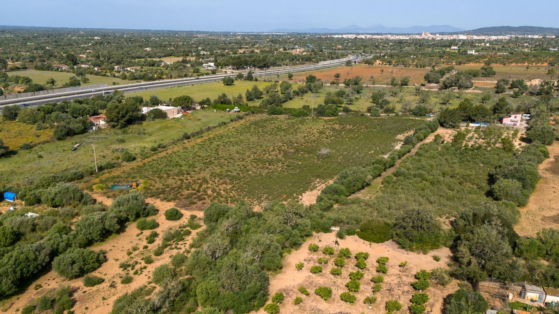 Fincas y solares-Venta-Llucmajor-2238217-Foto-4
