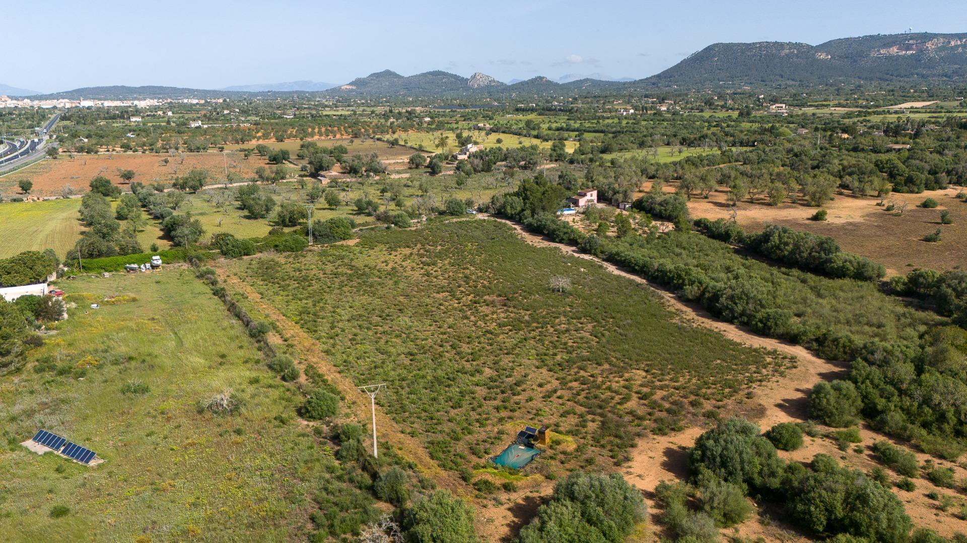 Fincas y solares-Venta-Llucmajor-2238217-Foto-5