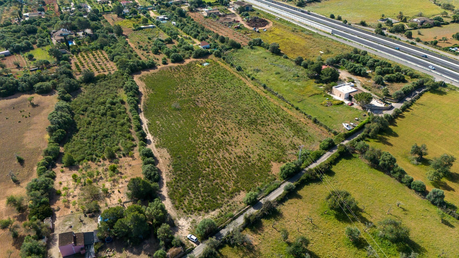 Fincas y solares-Venta-Llucmajor-2238217-Foto-8
