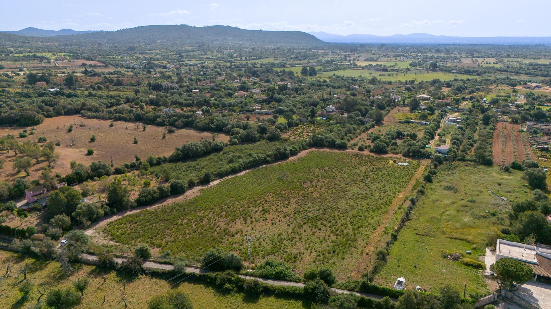 Fincas y solares-Venta-Llucmajor-2238217-Foto-9