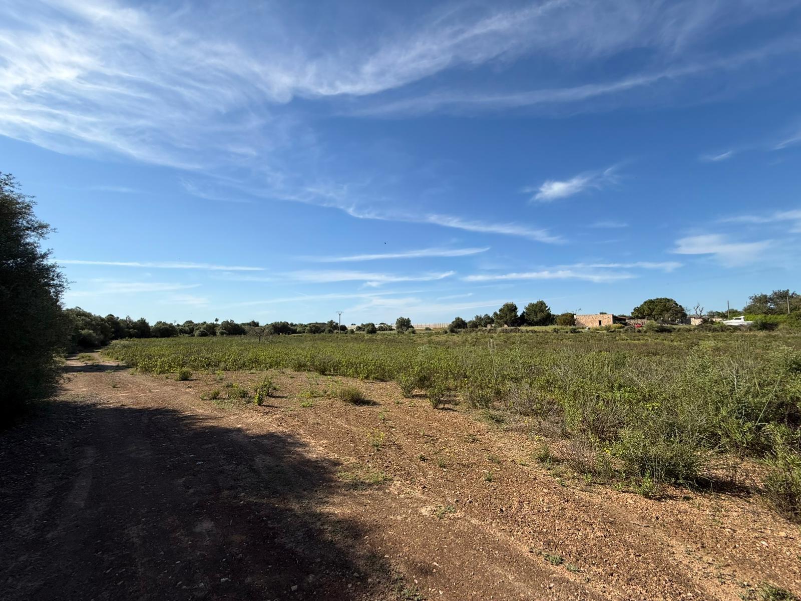 Fincas y solares-Venta-Llucmajor-2238217-Foto-14