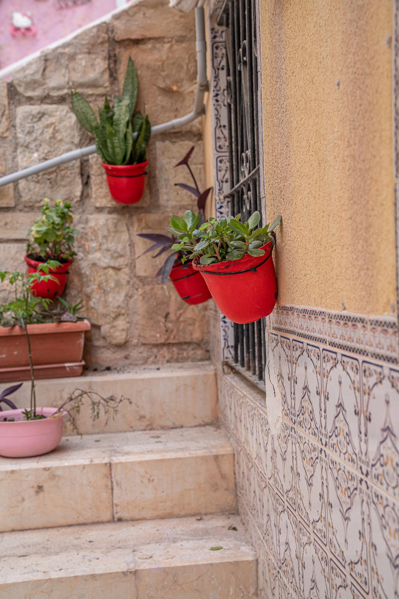 Apartment in Alicante
