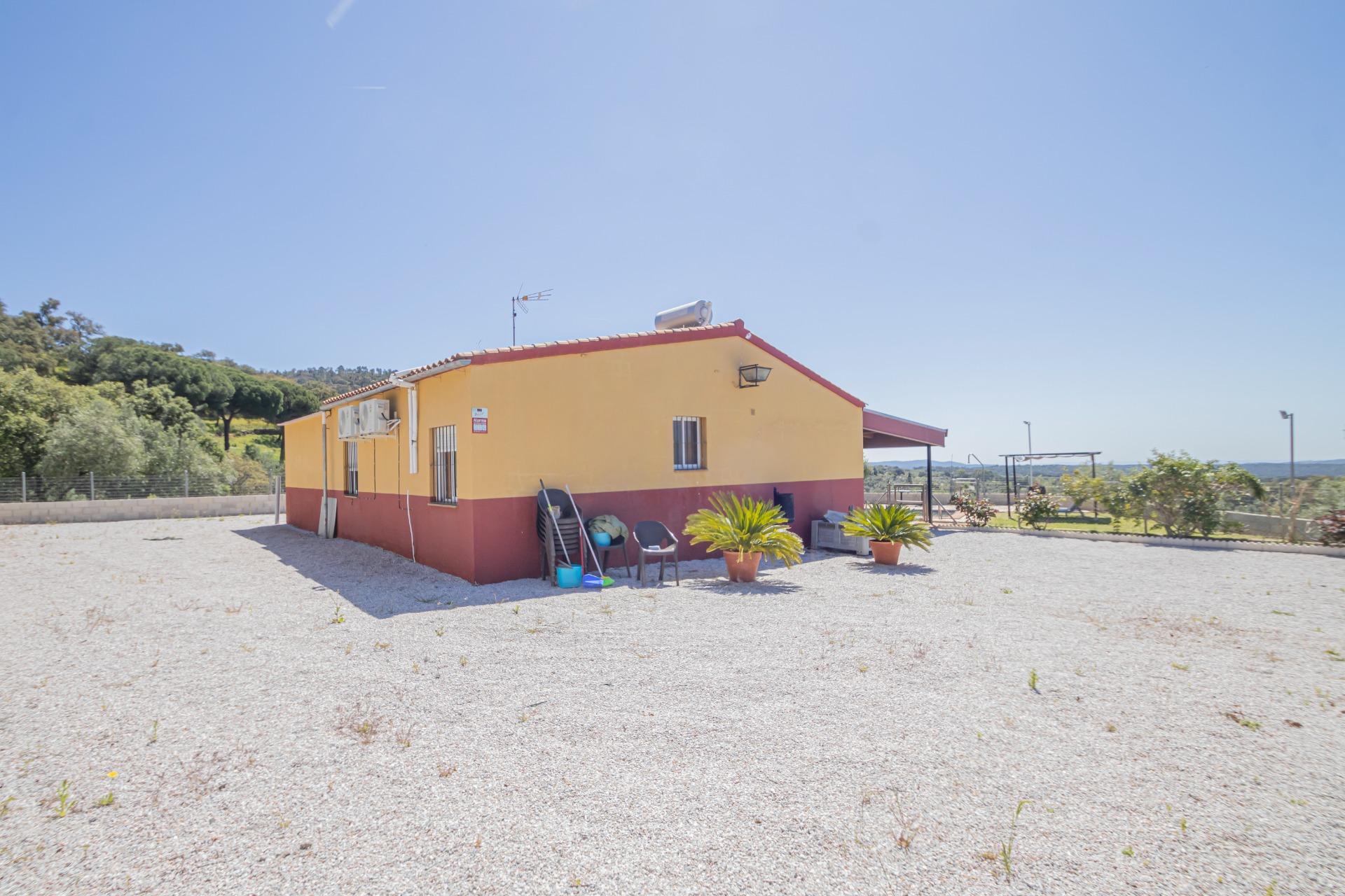 Fincas y solares-Venta-El Pedroso-1724744-Foto-5