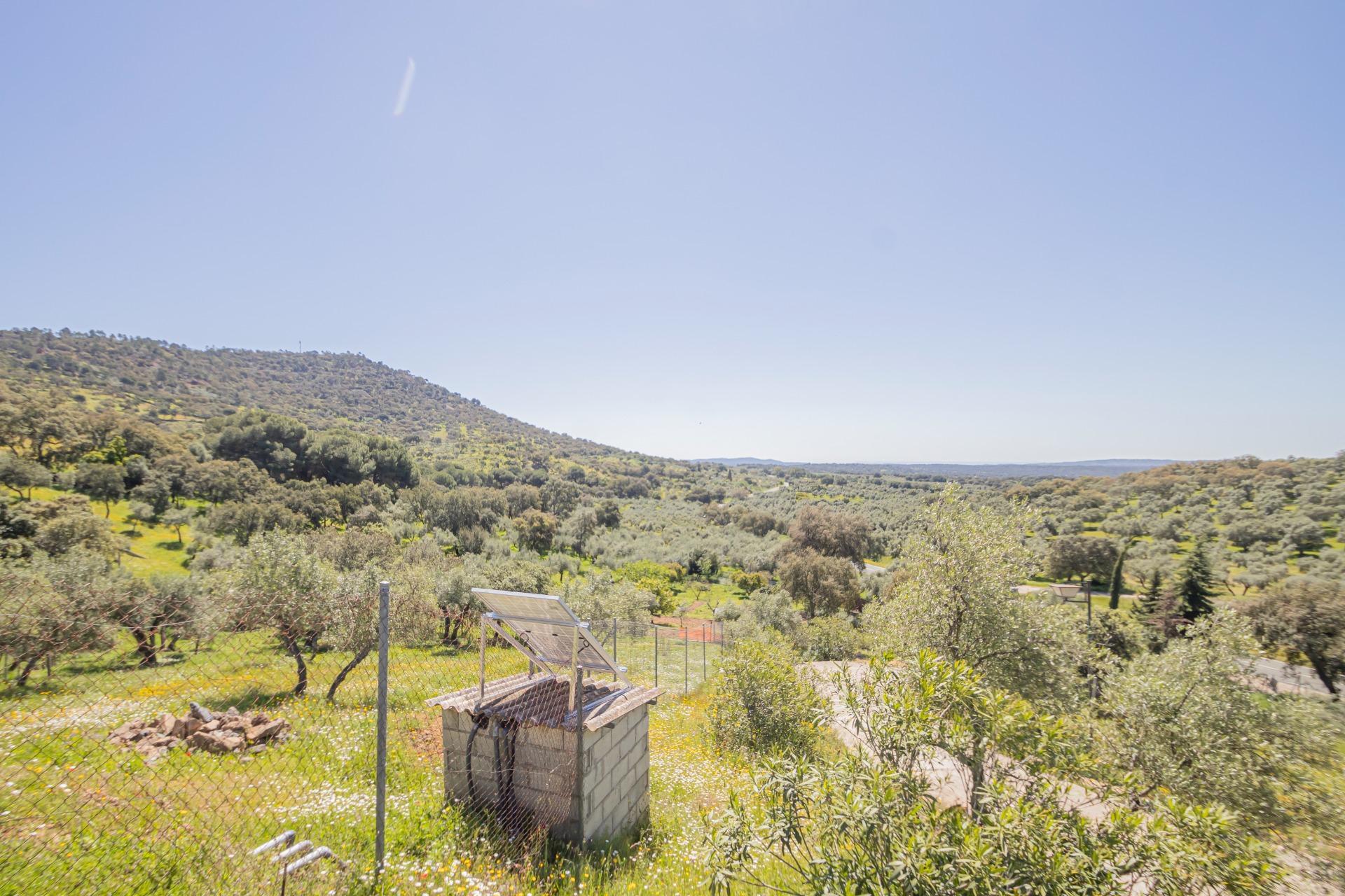 Fincas y solares-Venta-El Pedroso-1724744-Foto-26