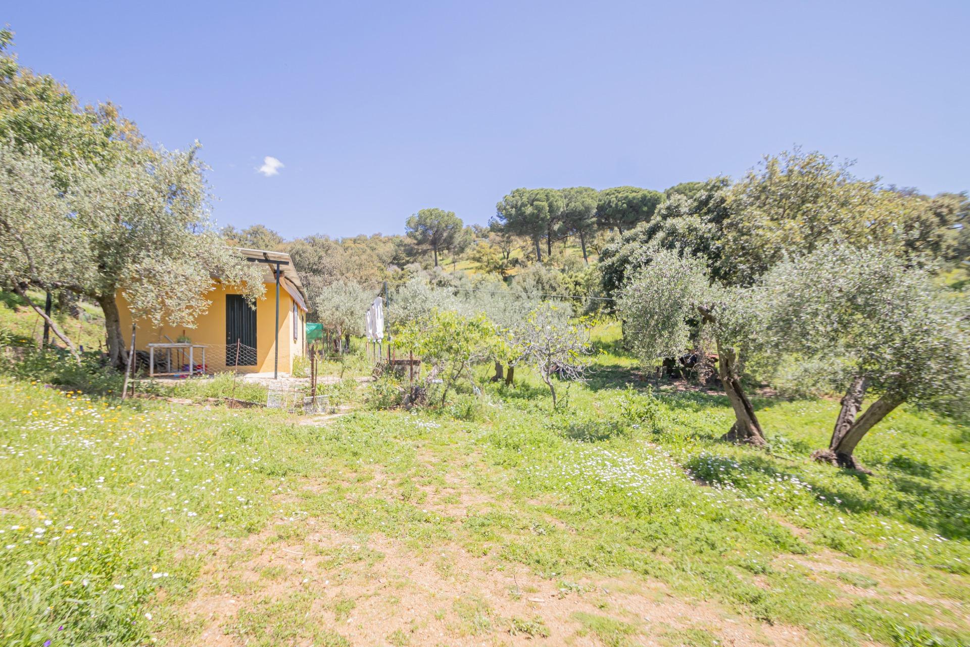 Fincas y solares-Venta-El Pedroso-1724744-Foto-40