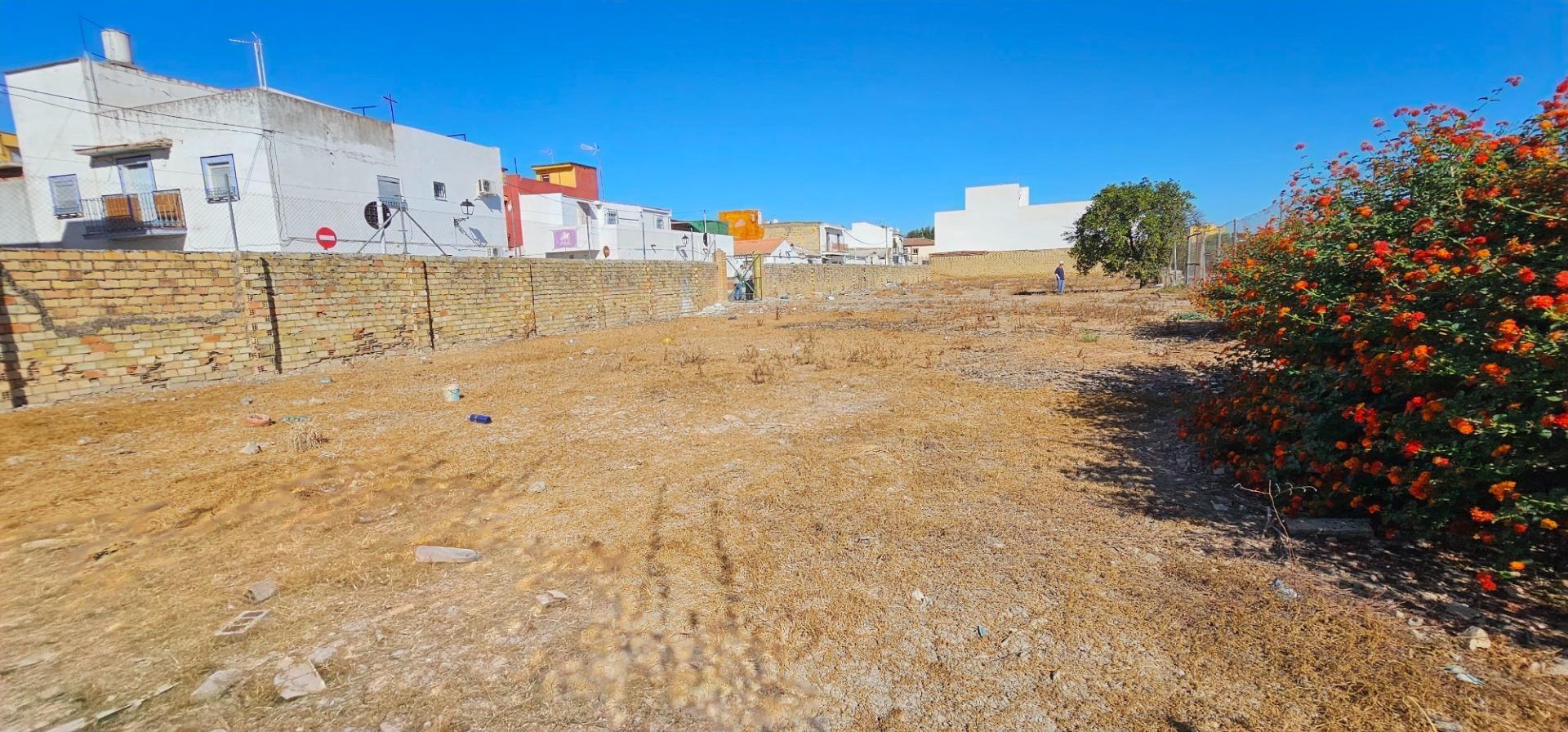 Fincas y solares-Venta-La Algaba-1976673