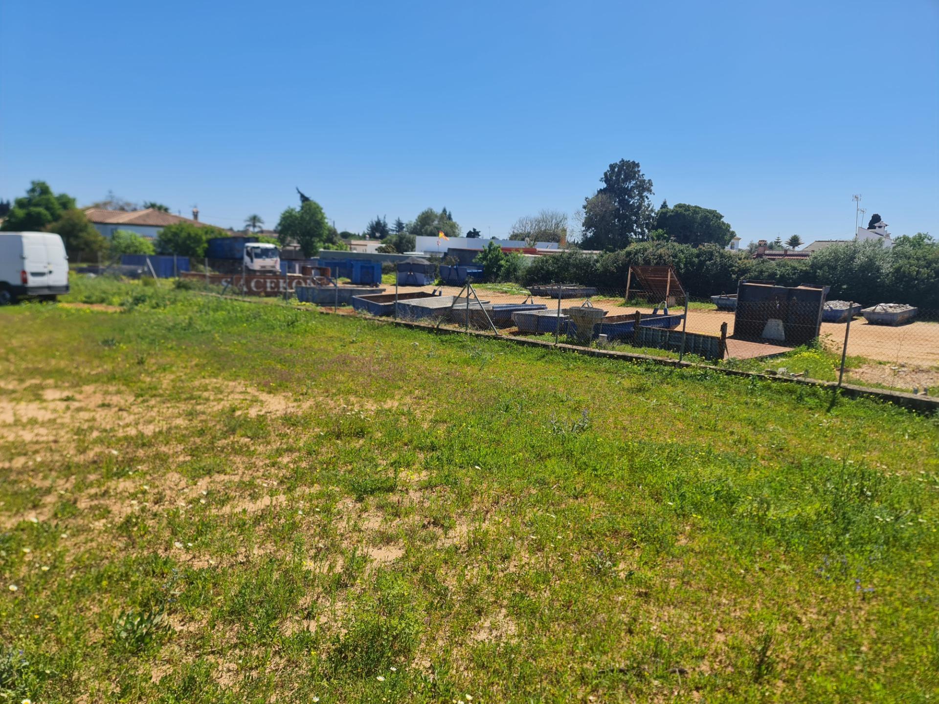 Fincas y solares-Venta-Chiclana de la Frontera-2256097-Foto-3