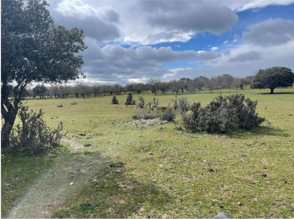 Plot in Galapagar