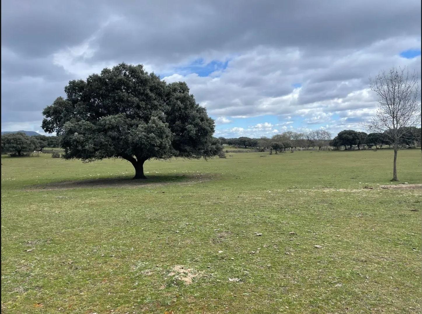Plot in Galapagar