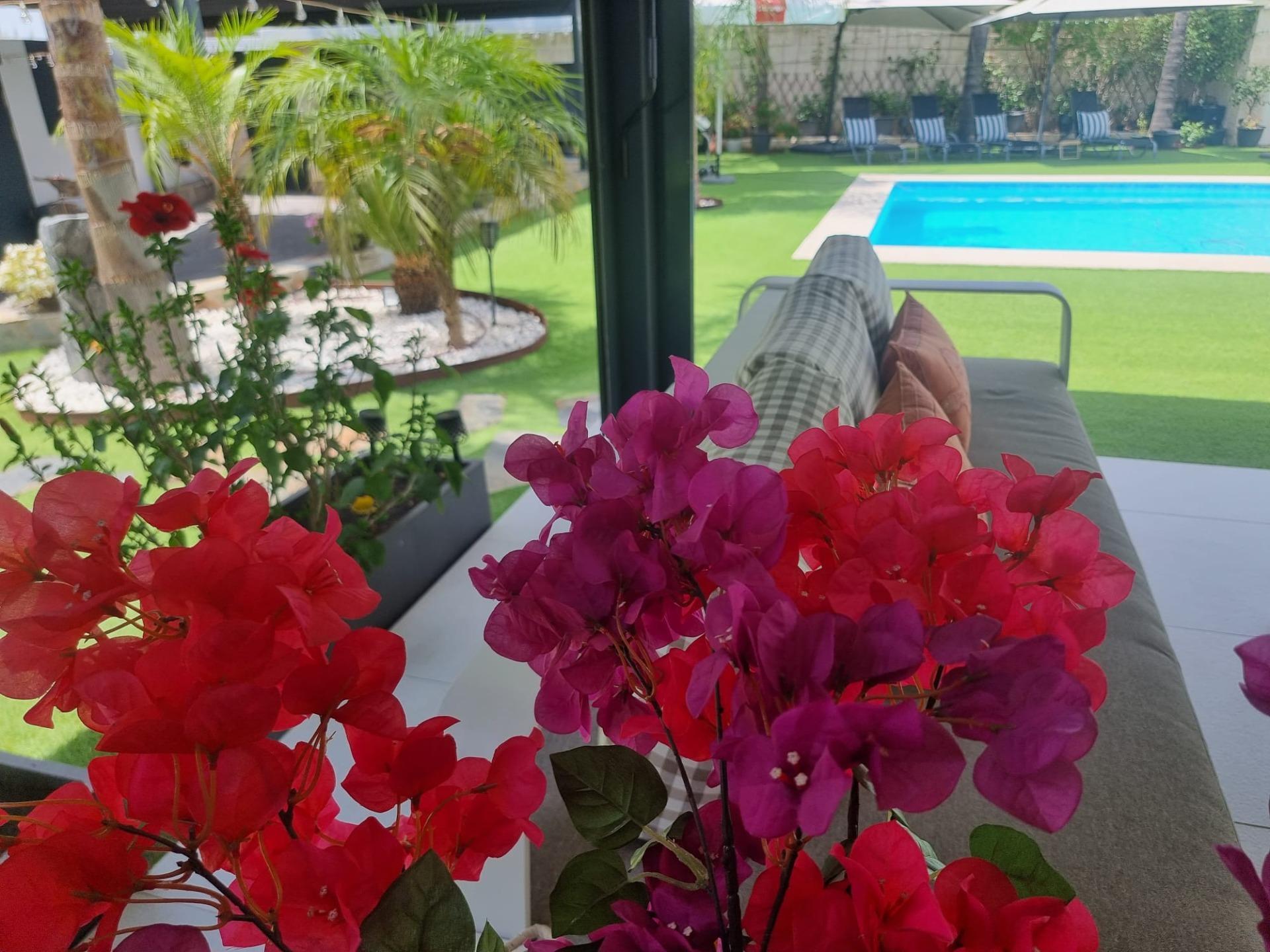 Casas o chalets-Venta-Carmona-2256237-Foto-11