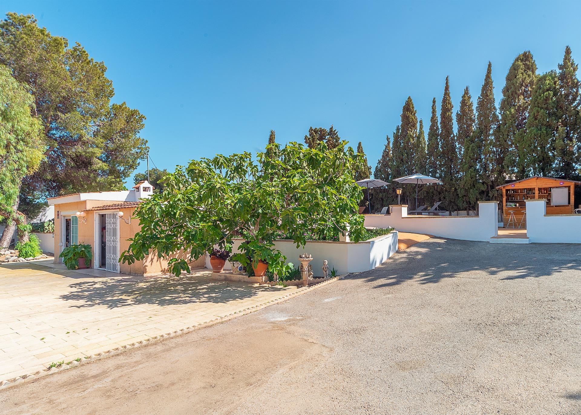 Casas o chalets-Venta-Alicante-2256099-Foto-13
