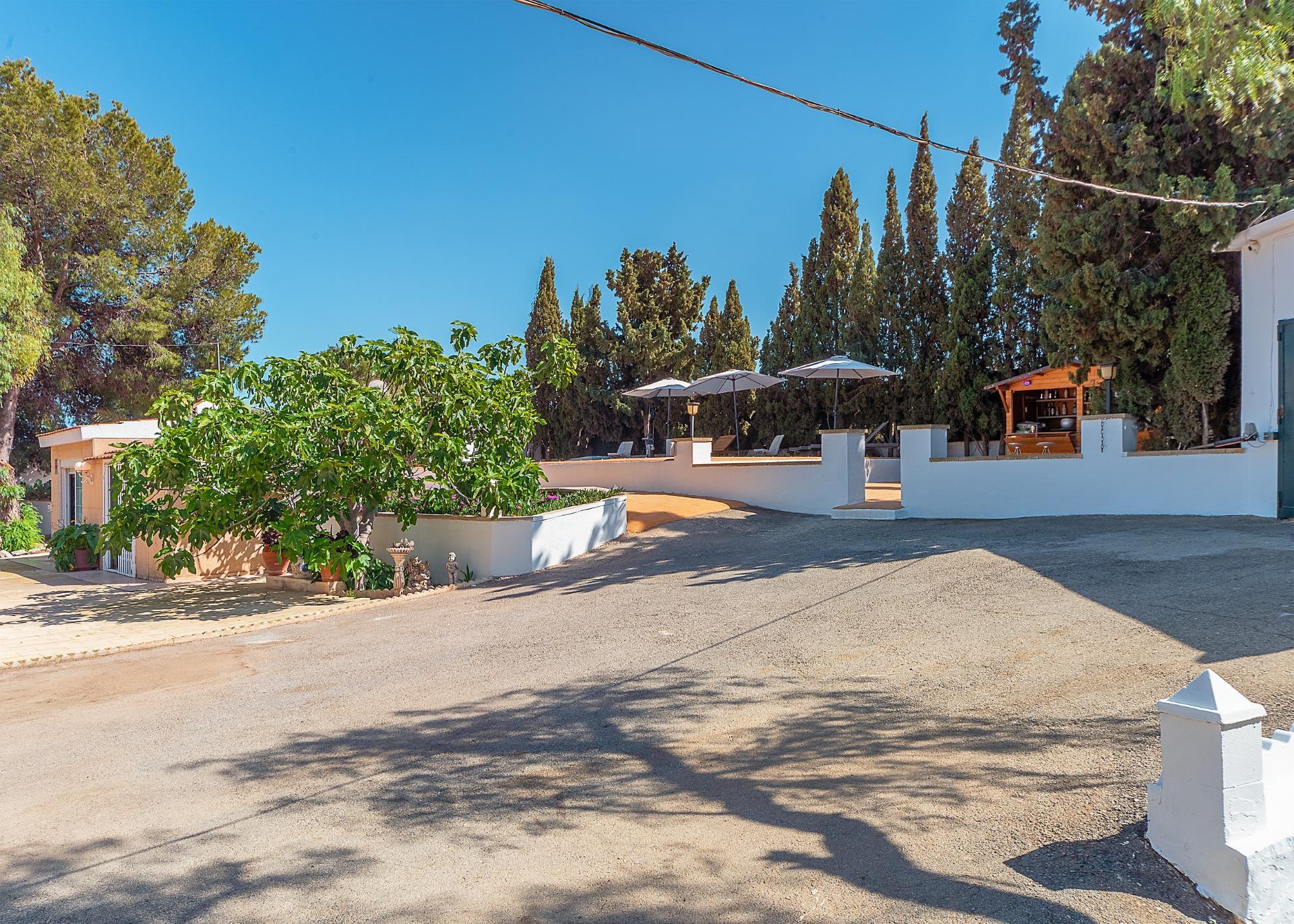 Casas o chalets-Venta-Alicante-2256099-Foto-12
