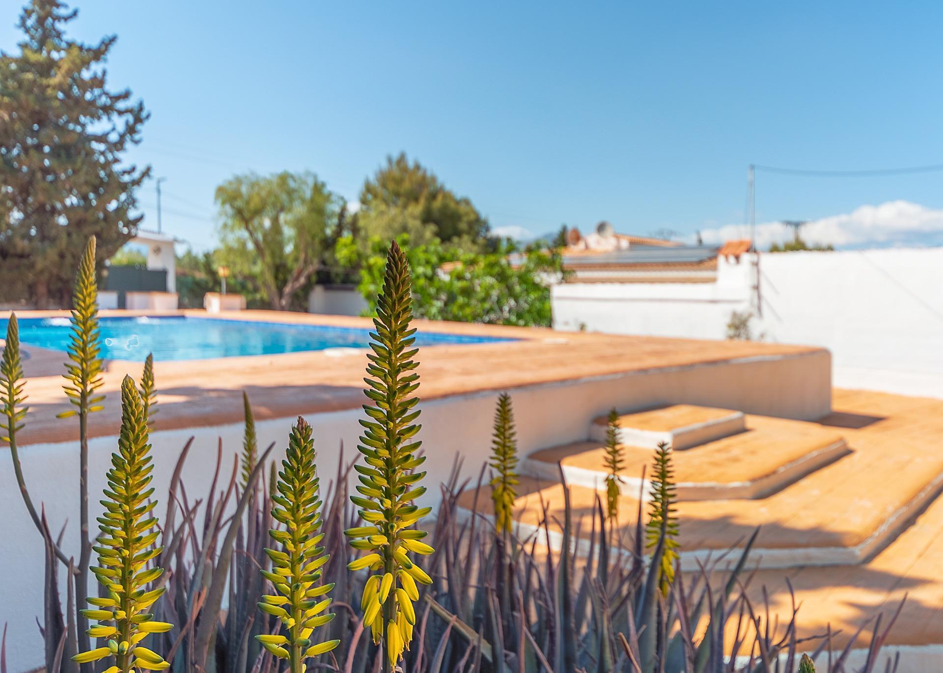 Casas o chalets-Venta-Alicante-2256099-Foto-17