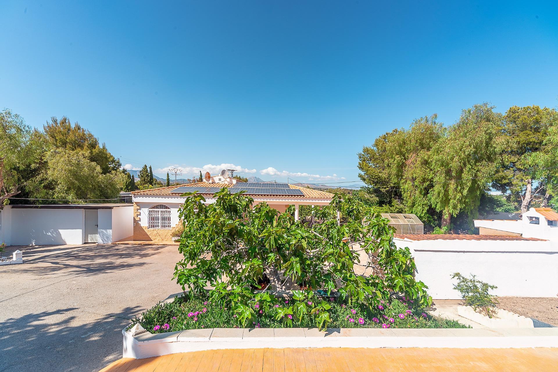 Casas o chalets-Venta-Alicante-2256099-Foto-16