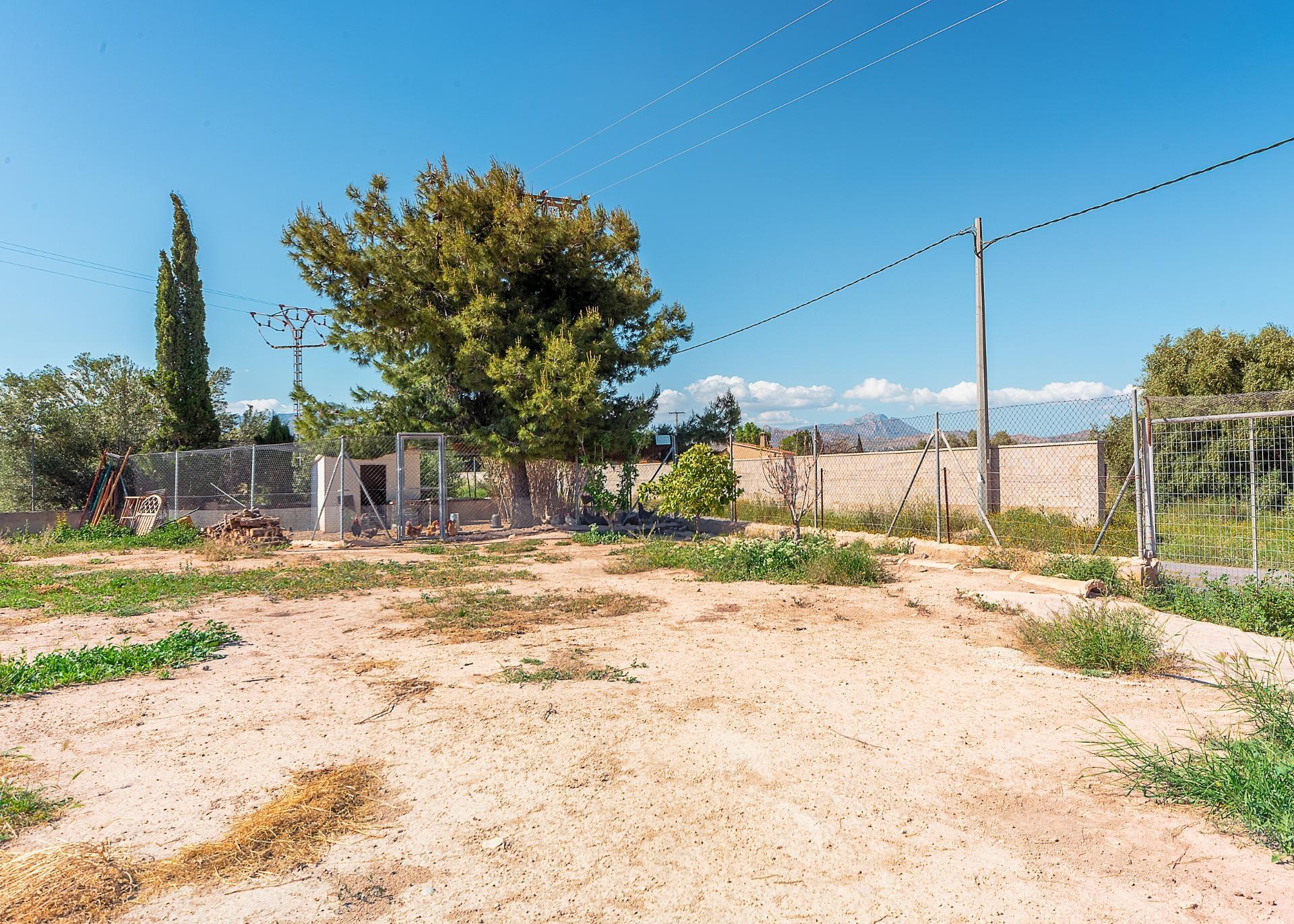 Casas o chalets-Venta-Alicante-2256099-Foto-22