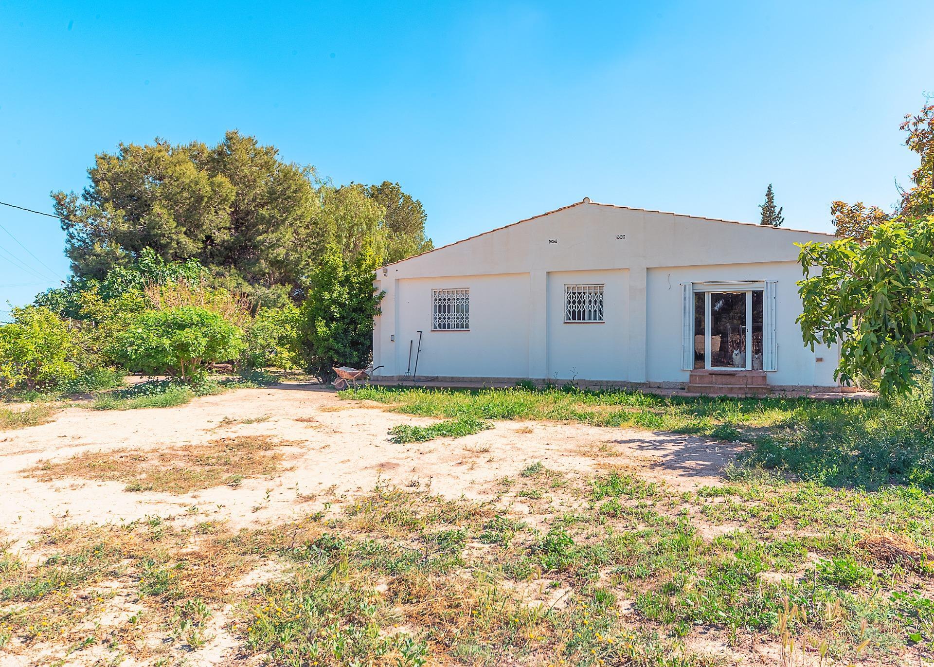Casas o chalets-Venta-Alicante-2256099-Foto-24