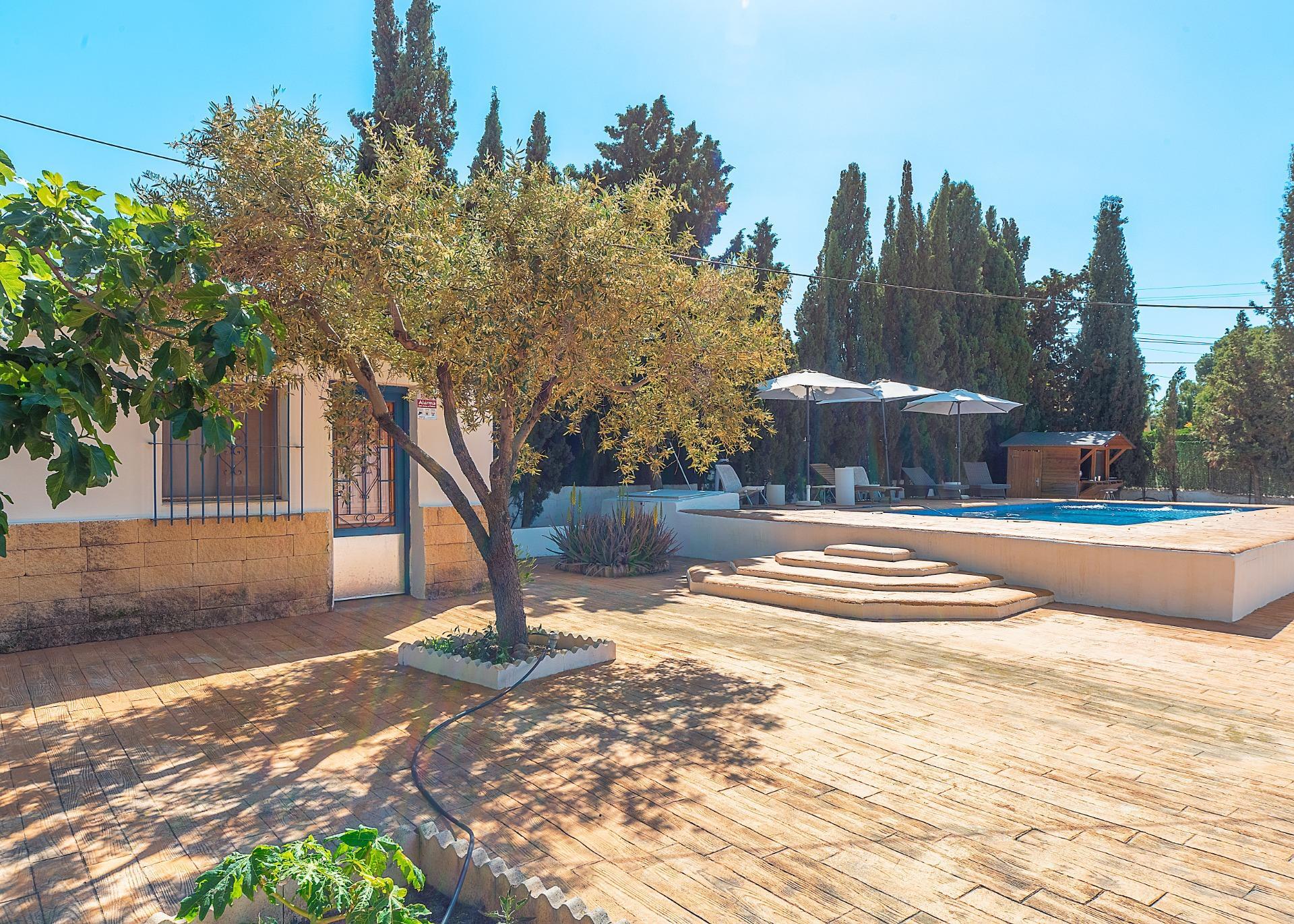 Casas o chalets-Venta-Alicante-2256099-Foto-48