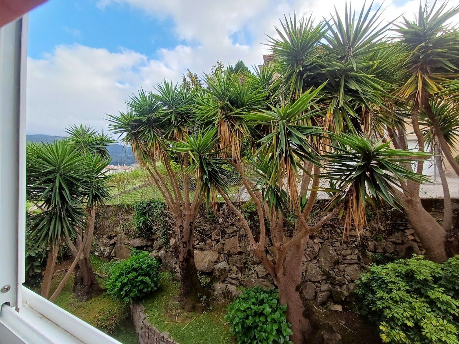 Pisos-Venta-Baiona-2256255-Foto-4