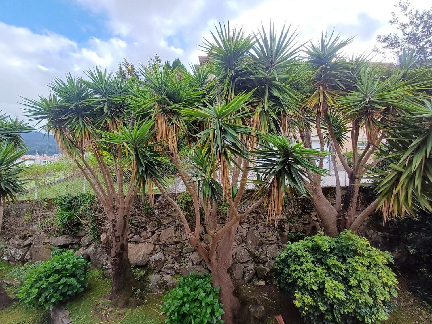 Pisos-Venta-Baiona-2256255-Foto-43