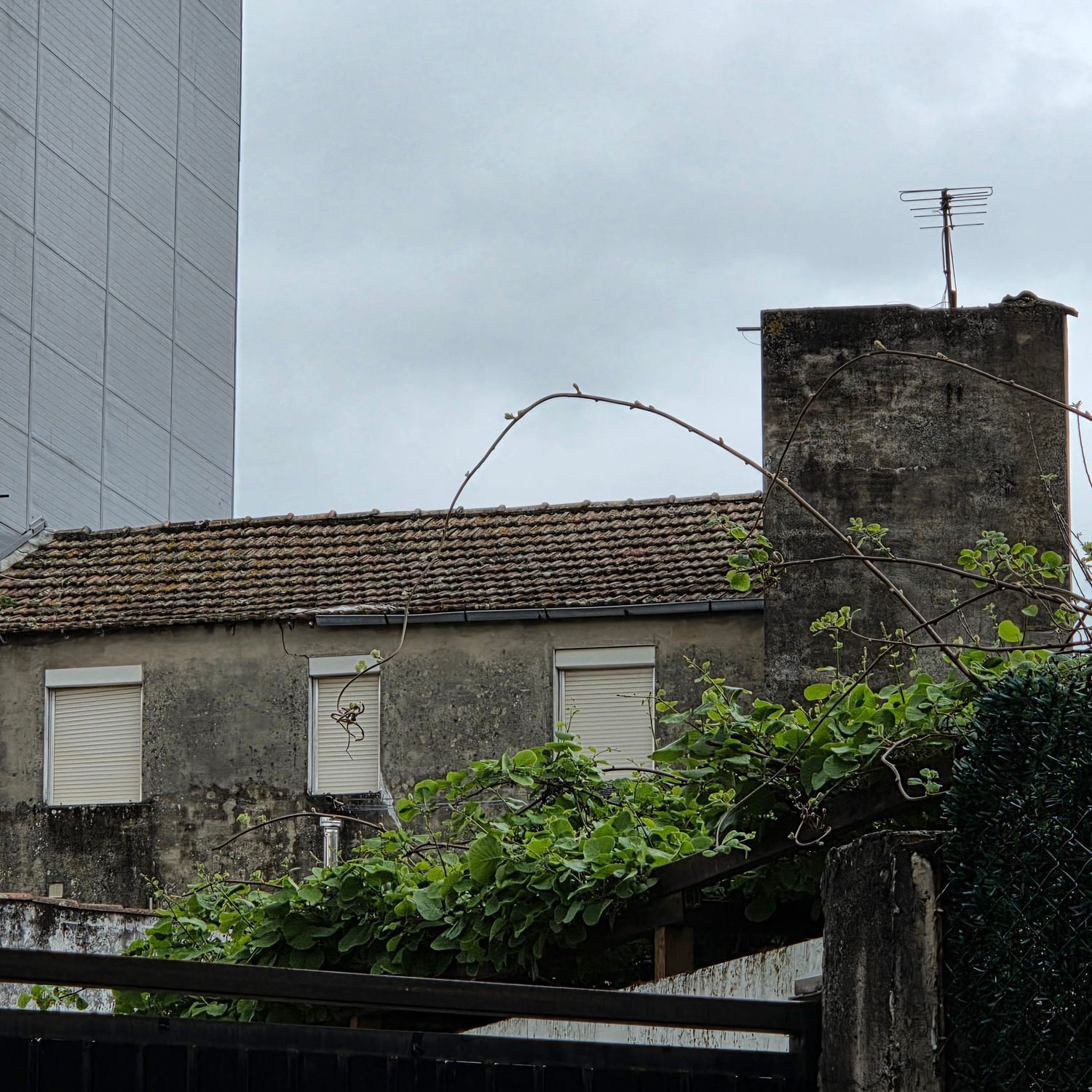 Villa in Vigo