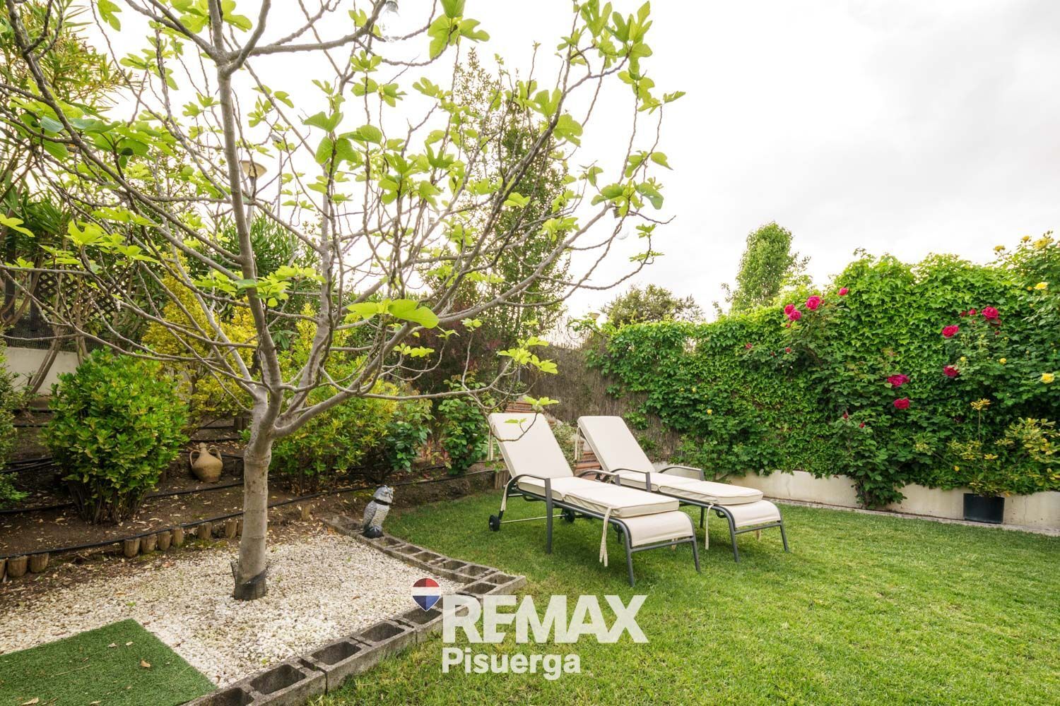 Casas o chalets-Venta-Valladolid-2256261-Foto-32