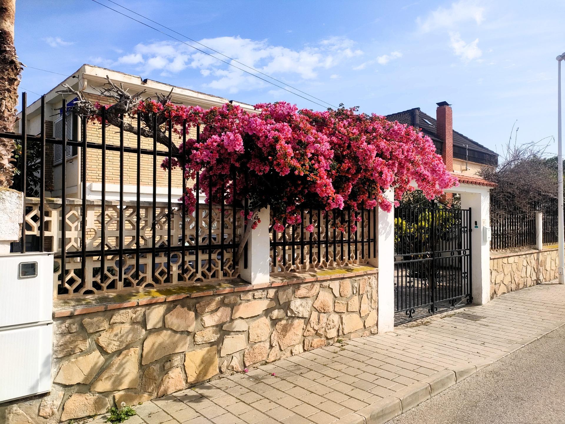 Casas o chalets-Alquiler-La Villajoyosa-2256276-Foto-14