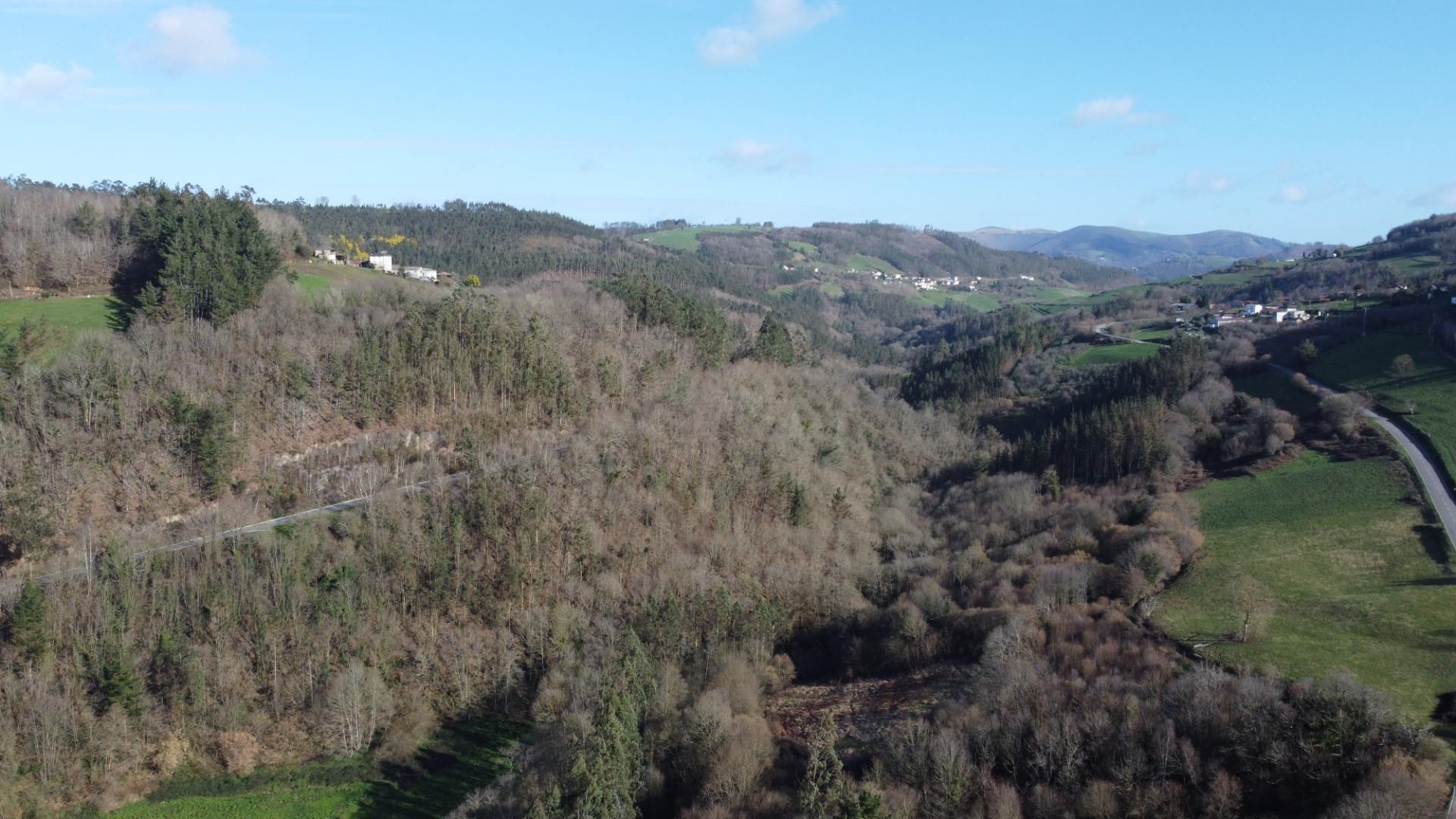 Villa in Tineo