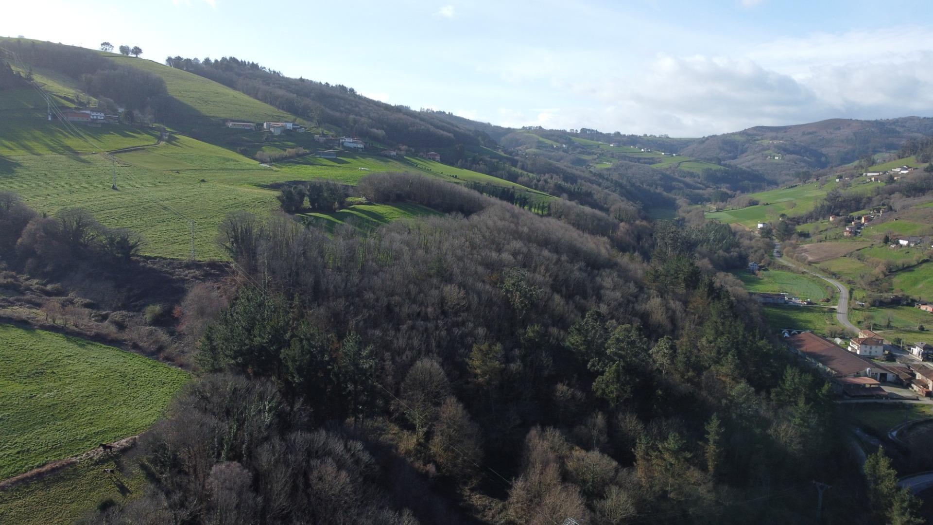 Villa in Tineo
