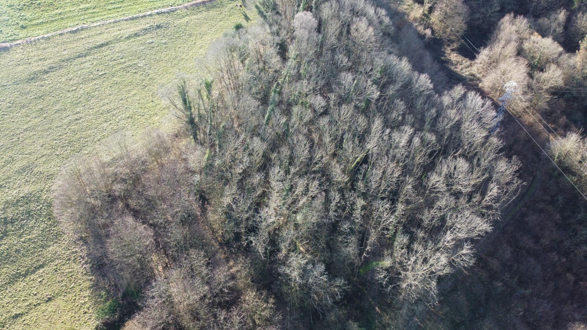 Villa in Tineo