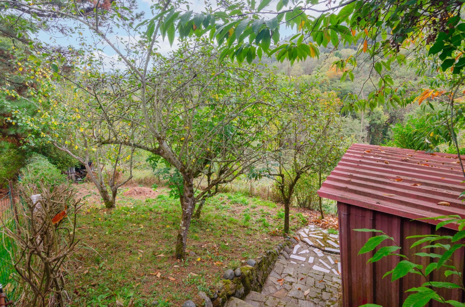 Apartment in Mieres